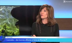 Cannabis : ces valeurs boursières multipliées par 4 en seulement 6 mois !