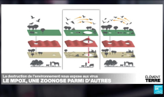 Les dérèglements de l'environnement conduisent à une augmentation des épidémies d'origine animale