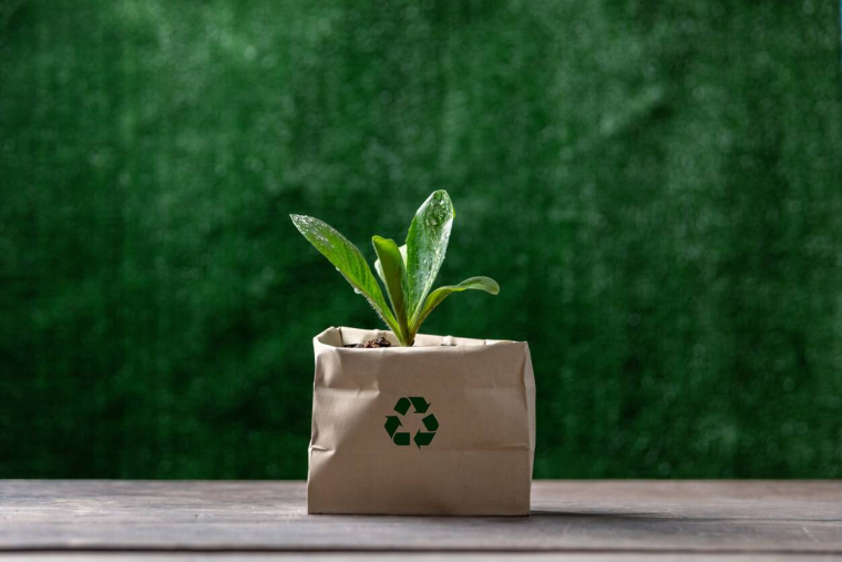 Consommation éco-responsable : quels gestes simples pour agir au quotidien ? / iStock.com - Thai Noipho