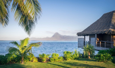 (Crédits photo : Unsplash - Hugues de BUYER-MIMEURE )