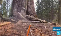 Le télescope James-Webb révèle ses incroyables clichés de l'univers