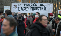 Rassemblement devant le tribunal de Lorient avant le procès de 12 militants écologistes du collectif "Bretagne contre l'élevage industriel" pour avoir bloqué un train de marchandises, le 15 décembre 2025 ( AFP / Damien MEYER )