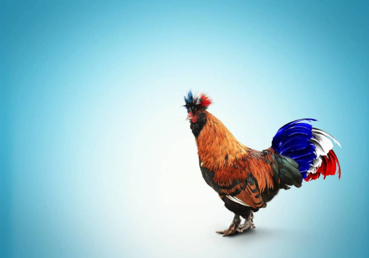 iStock.com-Maxim Zarya