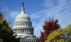 Le dôme du Capitole de Washington, siège du Congrès américain, le 5 novembre 2025 ( AFP / Mandel NGAN )