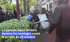 Pays-Bas: manifestation anti-immigration à Amsterdam