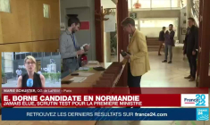 Législatives : l'Élysée joue gros, avec 15 ministres en lice