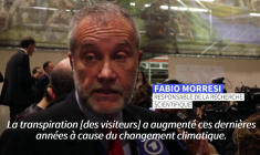 Vatican: plus importante restauration de la fresque du Jugement dernier depuis plus de 30 ans