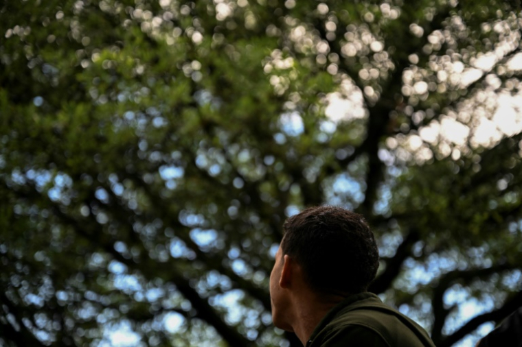 Juan Yamarte au Texas, le 25 avril 2025 ( AFP / RONALDO SCHEMIDT )