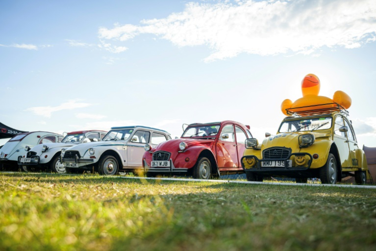 Des 2CV rassemblés à Postojna en Slovénie, le 30 juillet 2025  ( AFP / Jure Makovec )
