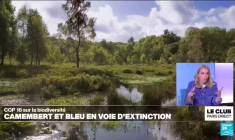 COP16 sur la biodiversité : pourquoi préserver les écosystèmes ?