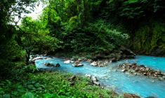 La rivière Céleste, dans le parc national du volcan Tenorio, entre les provinces de Guanacaste et d'Alajuela, au Costa Rica, le 24 mai 2023 ( AFP / Ezequiel BECERRA )
