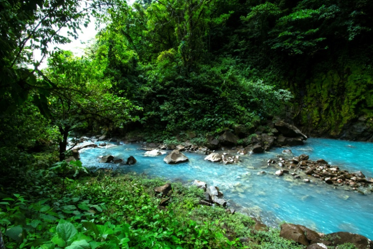 La rivière Céleste, dans le parc national du volcan Tenorio, entre les provinces de Guanacaste et d'Alajuela, au Costa Rica, le 24 mai 2023 ( AFP / Ezequiel BECERRA )