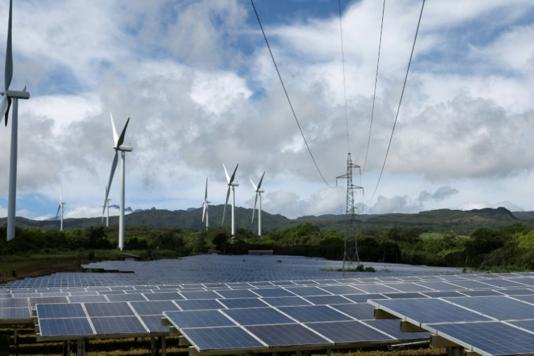 Des éoliennes et des panneaux solaires à Sainte-Suzanne, à la Réunion, le 22 janvier 2025 ( AFP / Richard BOUHET )