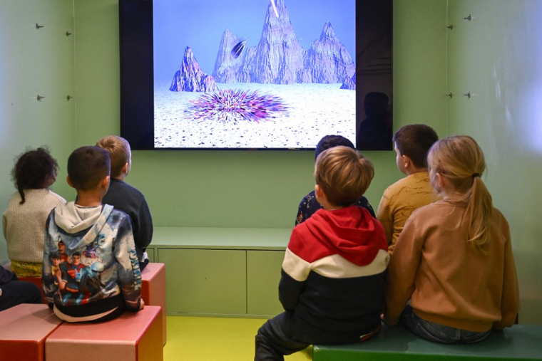 ( AFP / JEAN-CHRISTOPHE VERHAEGEN )