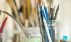 Le Paris des Arts de Daniel Auteuil