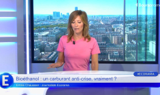 Fraude fiscale : attendre 2027 ou se mettre en règle dès maintenant ?