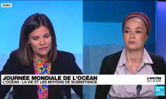 Journée mondiale de l'océan : "Si l'océan meurt, nous mourrons tous"
