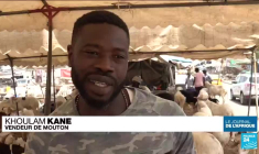 Crise politique au Sénégal : à l'approche de la Tabaski, les éleveurs de moutons inquiets