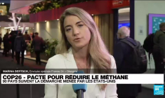 COP26 : après la déforestation, un engagement pour réduire le méthane