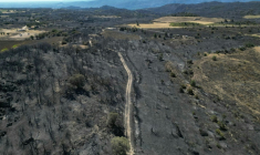 Vue aérienne d'une zone dévastée par des incendies près de Montalba-le-Château, dans les Pyrénées-Orientales, le 7 juillet 2026 ( AFP / LIONEL BONAVENTURE )
