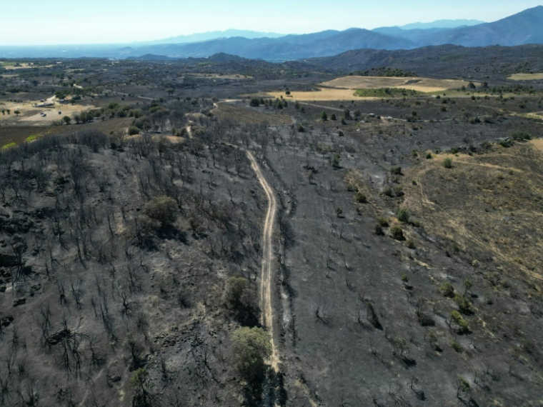 Vue aérienne d'une zone brûlée par un incendie de forêt près de la commune de Montalba-le-Château, non loin de Perpignan, le 7 juillet 2026 dans les Pyrénées-Orientales ( AFP / LIONEL BONAVENTURE )