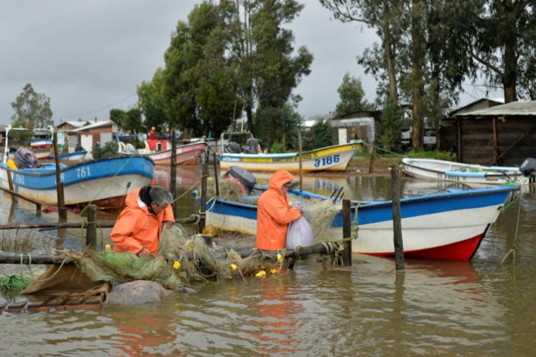 Des pêcheurs inspectent leurs bateaux et leurs filets dans une zone inondée à Arauco, dans la région de Biobio, le 16 juillet 2026 au Chili ( AFP / GUILLERMO SALGADO )