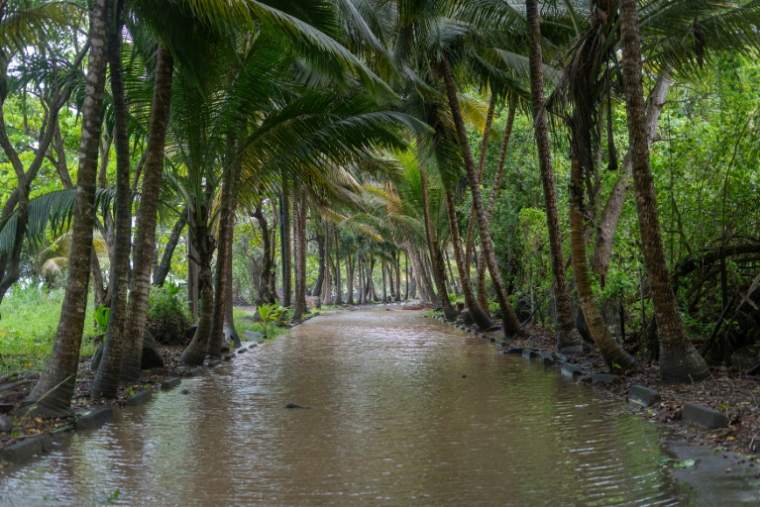 Une route inondée à Viard après le passage de la tempête tropicale Jerry, le 10 octobre 2025 en Guadeloupe ( AFP / Cedrick Isham CALVADOS )