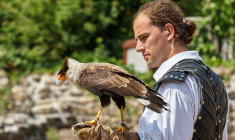 Le Puy du Fou, une immersion à vivre en famille (Crédits photo : Shutterstock)