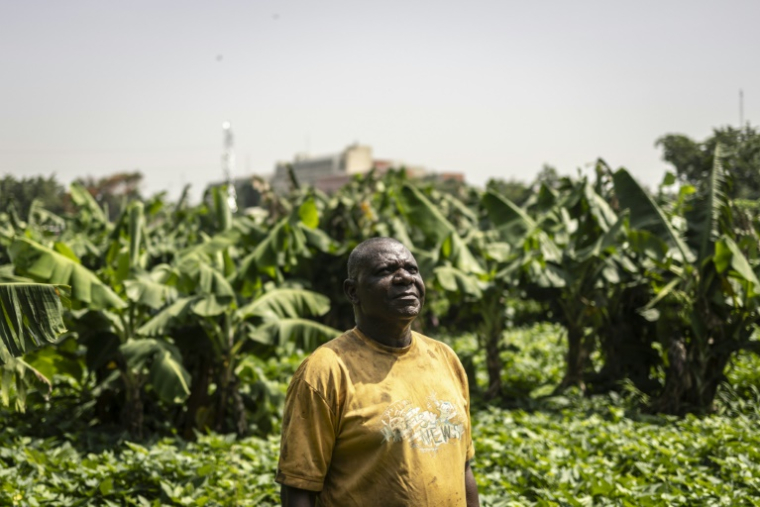 L'agriculteur Malik Guni dans une ferme urbaine dans le quartier d'affaires d'Abuja, le 23 mai 2025 au Nigeria ( AFP / OLYMPIA DE MAISMONT )