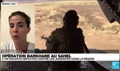 Opération Barkhane au Sahel : Emmanuel Macron va annoncer une restructuration des troupes