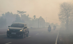 Certaines régions de l'île de Bornéo, qui abrite une forêt tropicale vierge et de vastes plantations, sont envahies par un épais smog dû aux feux de forêt ( AFP / REINA )