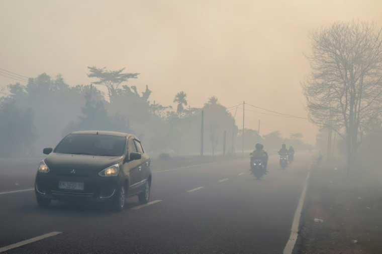 Certaines régions de l'île de Bornéo, qui abrite une forêt tropicale vierge et de vastes plantations, sont envahies par un épais smog dû aux feux de forêt ( AFP / REINA )