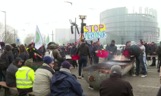Mercosur: des agriculteurs toujours mobilisés devant le Parlement européen