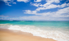 À l’approche de l’été, les arnaques se multiplient concernant des régimes sur mesure, des programmes de sport intensif et des suivis personnalisés en nutrition. Illustration. (Nutraveller / Pixabay)