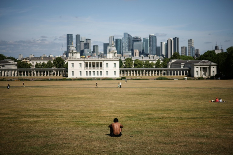 Des personnes profitent du soleil et des températures chaudes à Greenwich Park, à Londres, le 22 juin 2025 ( AFP / HENRY NICHOLLS )