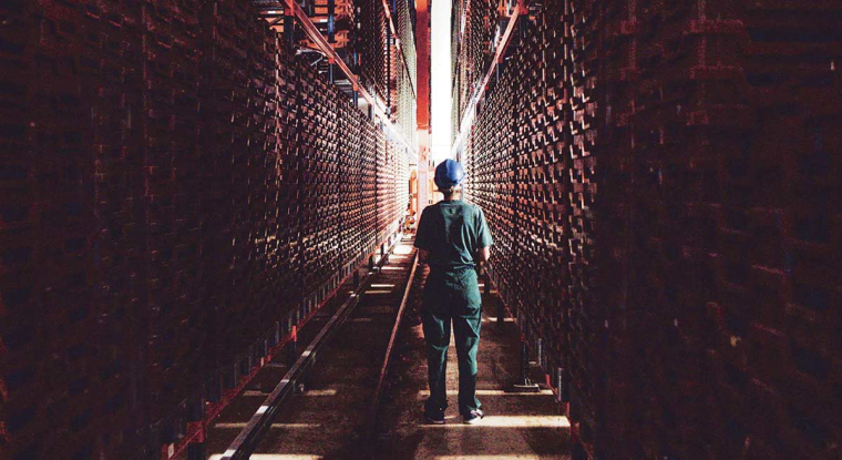 À Poulainville, au nord d'Amiens, plusieurs milliers de milliards de scarabées Buffalo seront prochainement élevés dans la ferme-usine Ynfarm1, sous la surveillance de logiciels faisant appel à l'intelligence artificielle. (© Ynsect)