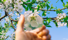 pour comprendre la finance durable