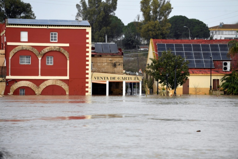 Une zone inondée dans le village de Las Pachecas à Jerez, lors de la dépression Leonardo, le 5 février 2026 dans le sud de l'Espagne ( AFP / CRISTINA QUICLER )