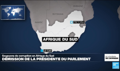Afrique du Sud : l'ex-présidente du Parlement inculpée pour corruption