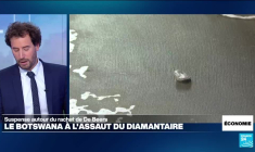 Le Botswana va-t-il réussir à racheter De Beers, le géant mondial du diamant ?