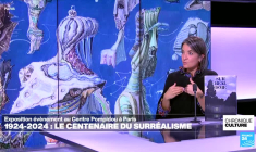 Didier Ottinger : "Le Surréalisme est autant une aventure de l'esprit qu'un mouvement d'avant-garde"