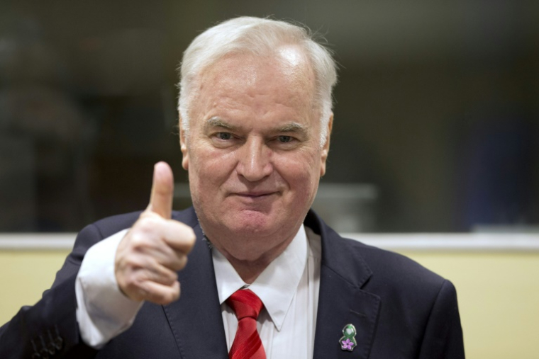 Ratko Mladic, l'ex-chef militaire des Serbes de Bosnie, lors de son procès au tribunal de La Haye, le 22 novembre 2017 ( POOL / Peter Dejong )