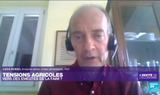 Crise alimentaire : "Sans conflits, on n'aurait pas de famines extrêmes"