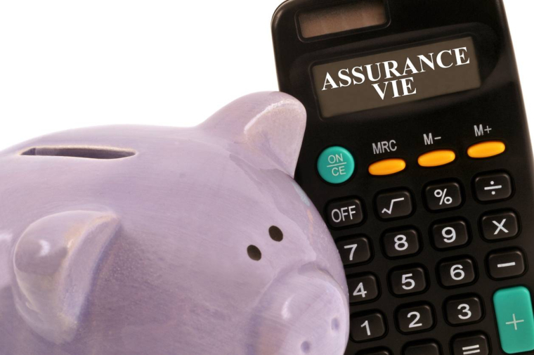 L'assurance-vie dans le collimateur de l'ACPR-iStock-Richard Villalonundefined