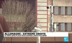 Extrême droite en Allemagne : pourquoi le parti AfD a-t-il été mis sous surveillance policière ?