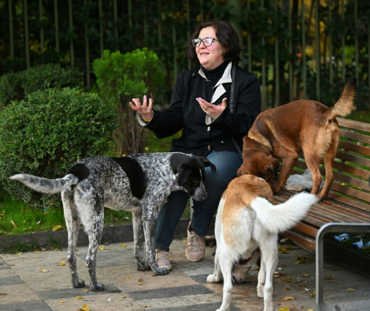 Nino Adeishvili, une géologue géorgienne, qui lève des fonds pour soigner des chiens errants, à Tbilissi, le 16 novembre 2025 ( AFP / Vano SHLAMOV )