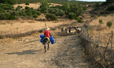 Un homme à dos d'âne se rend à une source d'eau pour remplir des bidons, alors que la Tunisie est écrasée par la chaleur et confrontée à des coupures d'électricité, près de Ghezala (nord), le 21 juillet 2026 ( AFP / FETHI BELAID )