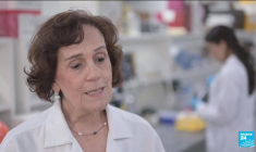 Au Brésil, une araignée venimeuse au secours des problèmes d'érection