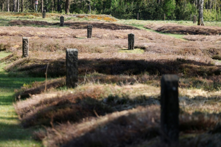 Fosses communes de prisonniers de guerre soviétiques pendant un dépôt de gerbes au cimetière des prisonniers de guerre Hoersten, à Lohheide (nord-ouest de l'Allemagne), le 27 avril 2025 ( AFP / Focke Strangmann )