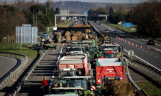 Le 13 décembre 2025, à Carbonne, dans le sud-ouest de la France, un mur de paille et des tracteurs bloquent l'accès à l'autoroute A64, pour protester contre les mesures sanitaires face à la dermatose nodulaire contagieuse ( AFP / Valentine CHAPUIS )